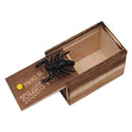 Pegadinha brincadeira da aranha escondida na caixa